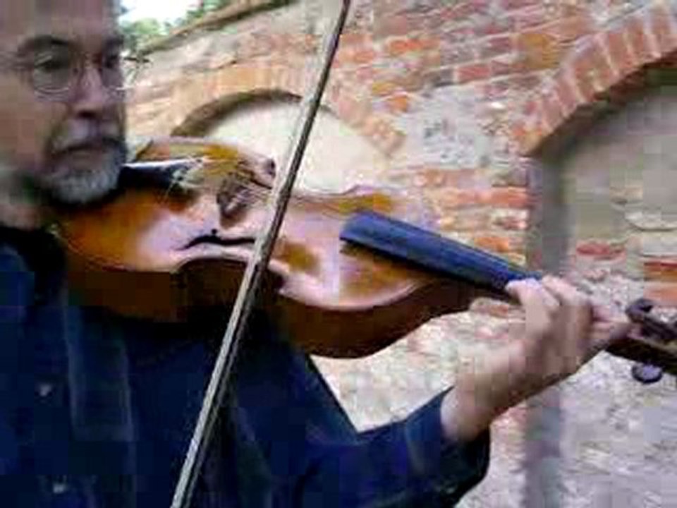 Viola D'amore