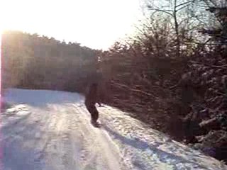 La vallée d'Anfer en forêt de Perseigne en pleine Normandie