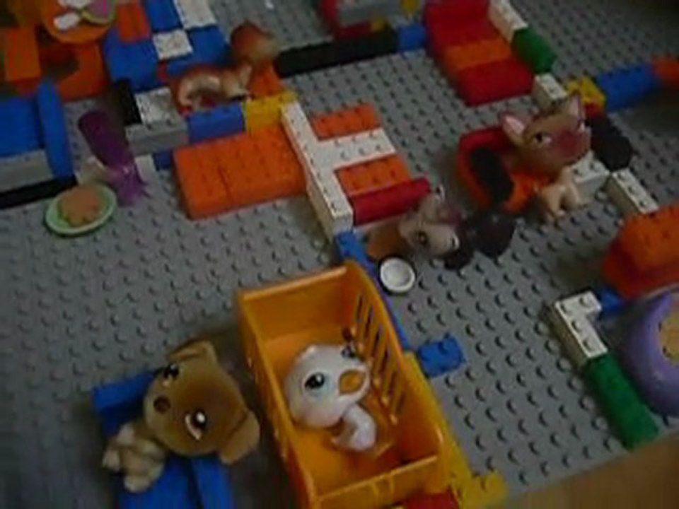 petshop
