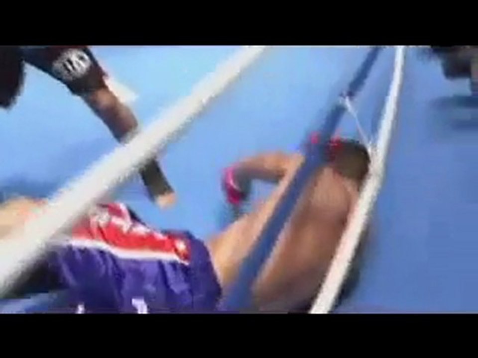 Peter Aerts vs. Badr Hari K-1 WGP 2008 K1 kickboxing