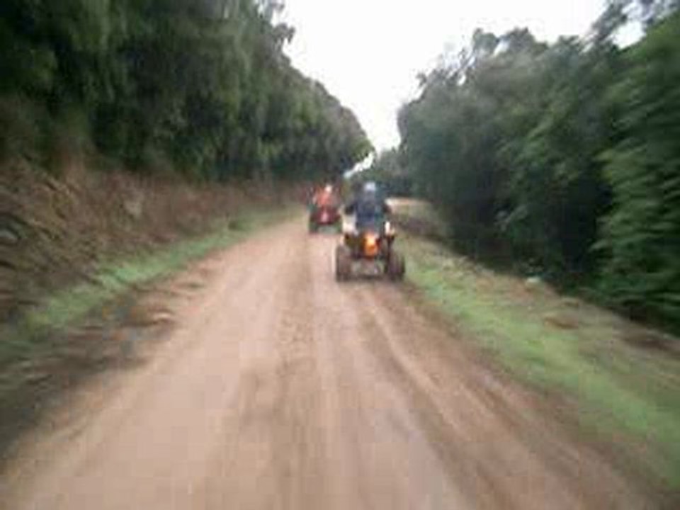 video sortie le 17-01-2010