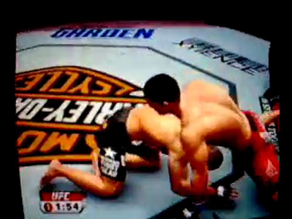 UFC 2009 Undisputed