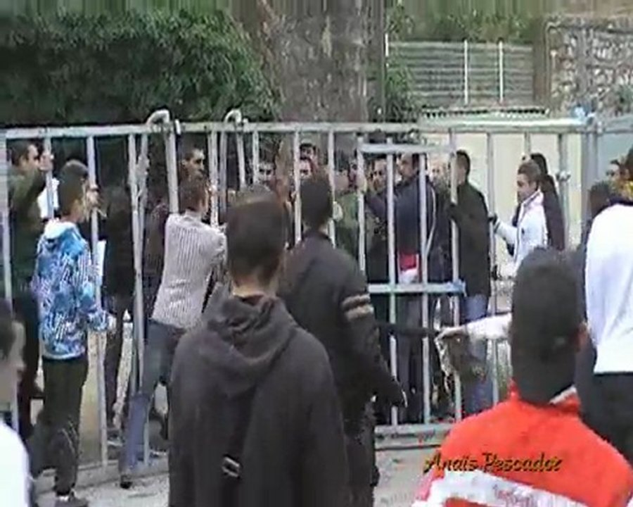 Caissargues - 17 janvier 2010 - Encierro - Manade Labourayre