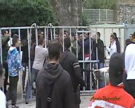 Caissargues - 17 janvier 2010 - Encierro - Manade Labourayre