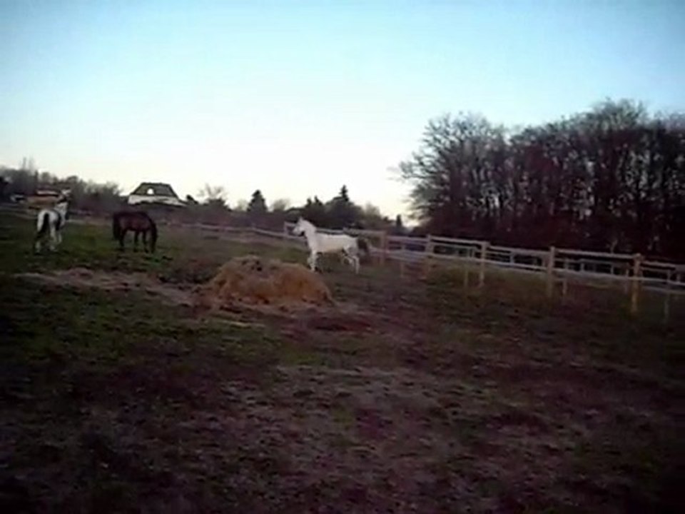 LIlas et la course =)