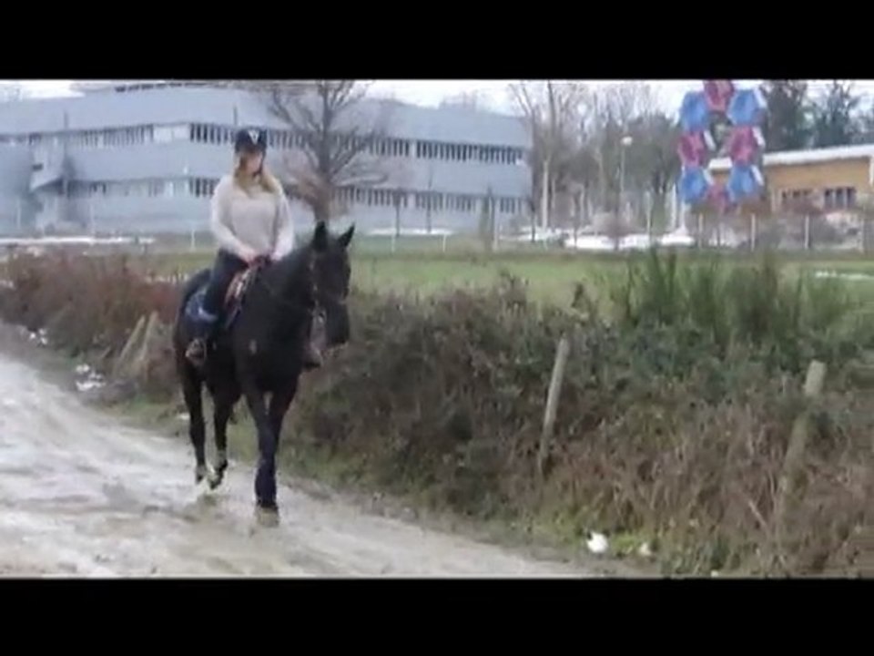 olten 16 janvier 2010 -