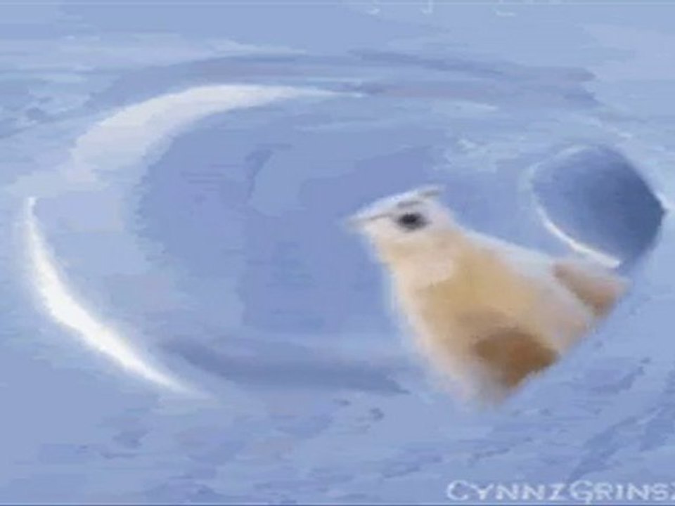 Knights in White Satin