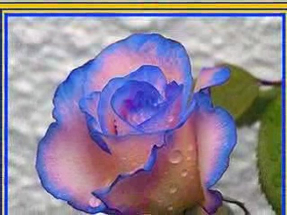 Orhan hakalmaz - Şu kışlanın kapısına