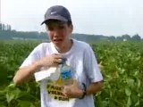 OGM tout ca pour un putain  de champs de maïs