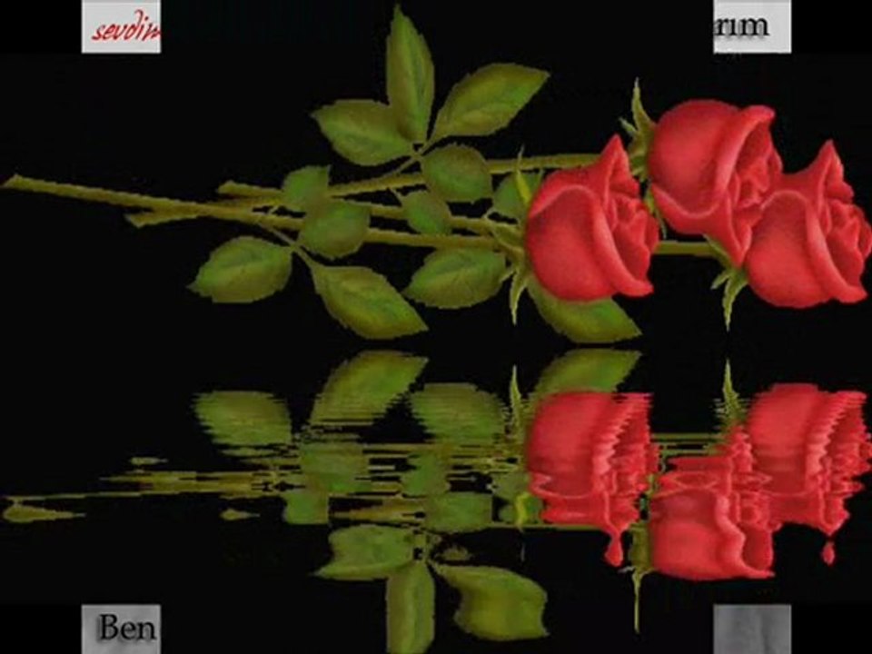 Cemal Safi Sensiz Baharı