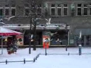 Birds Flying In The Snow