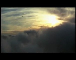 Jonathan Livingston Seagull 1/9