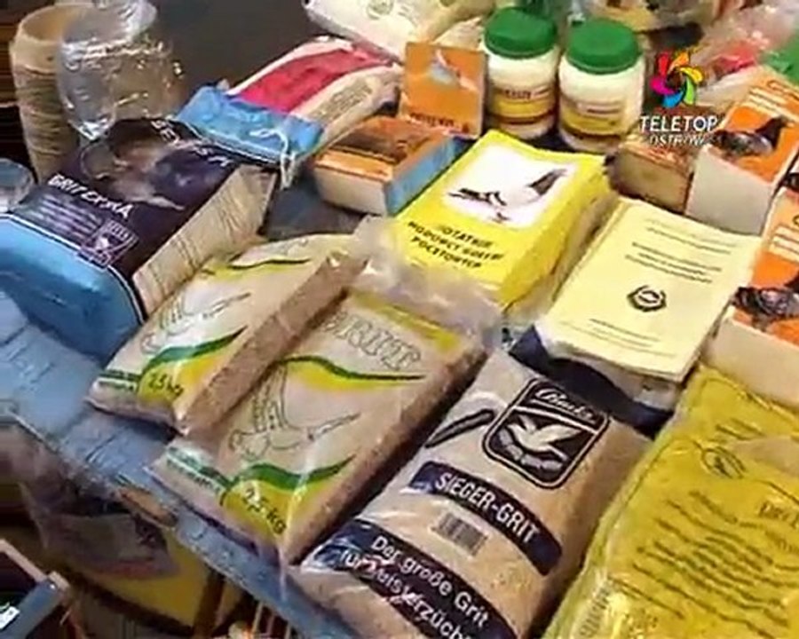 Wystawa gołębi pocztowych Ostrów Mazowiecka 2010