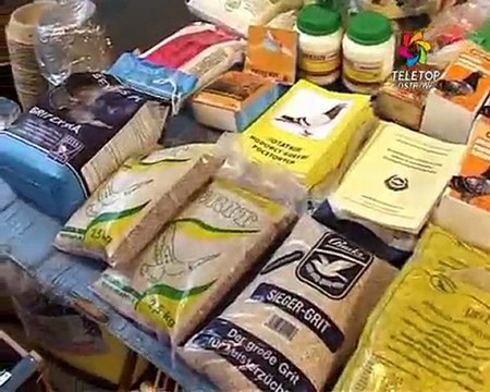 Wystawa gołębi pocztowych Ostrów Mazowiecka 2010