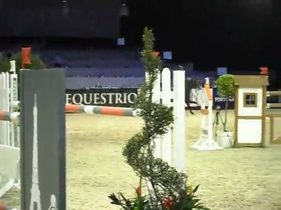 salon du cheval 2