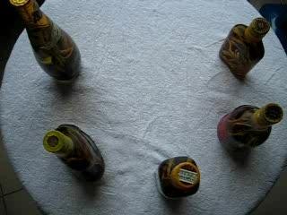 Vietnamese souvenir: SNAKE WINE