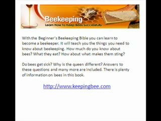 learn how to keep bees successfully