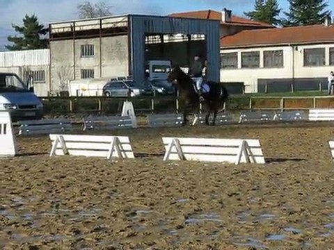 Concours de dressage CE des VASEIX 17 janvier 2010