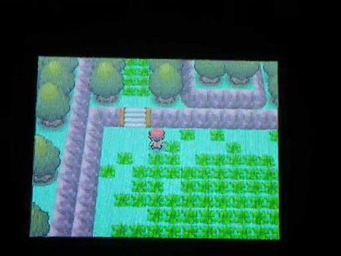 Session 02 Parc des Amis (2 recrues de choix)