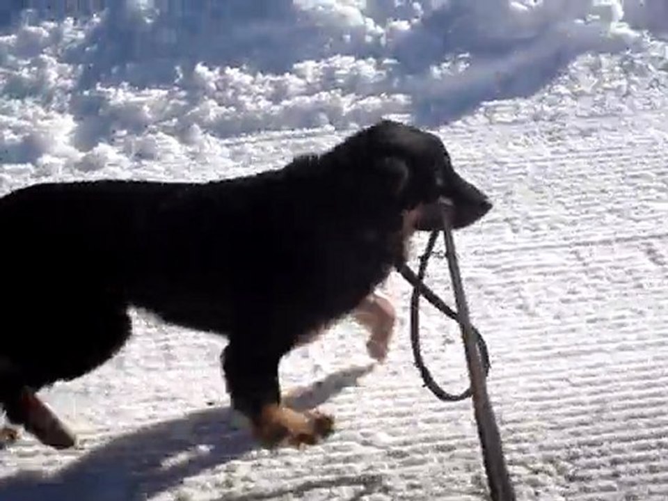 Ski à St Pierre de Chartreuse avec Aelphy