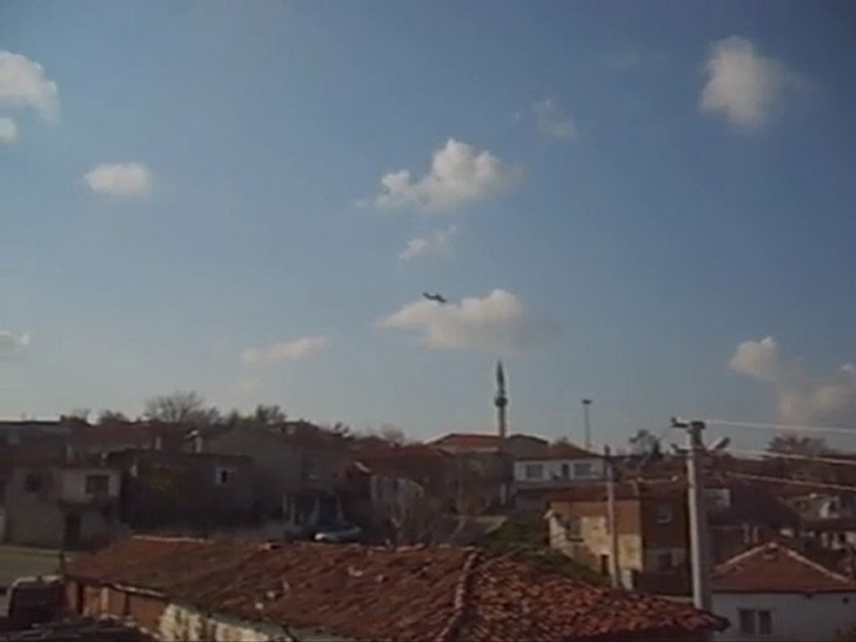 Taklacı oyun kuşu damcı