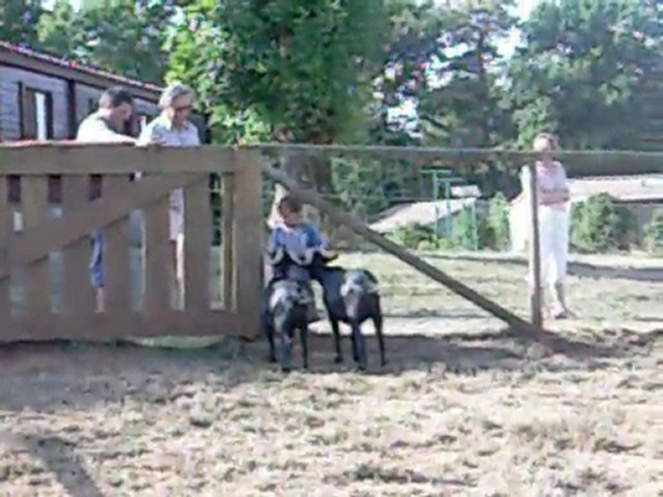 Camping*** Relais de l'Entre Deux Lacs, Teillet, Tarn