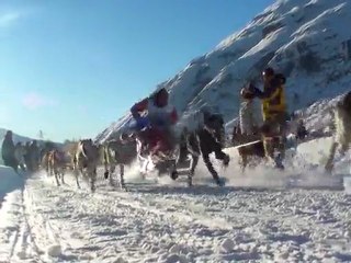 Les attelages après un kilomètre