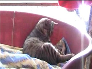 Elia - 26 décembre 2009