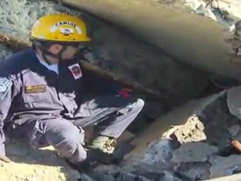 Haïti - Les chiens sauveteurs US au travail