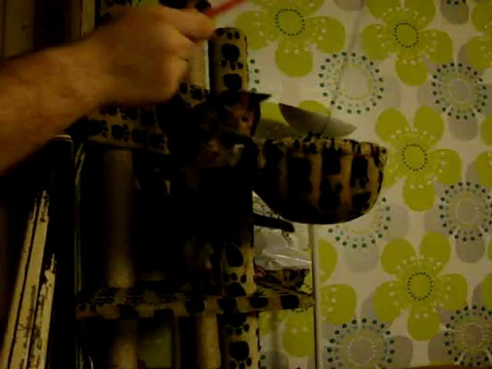 je joue et râle en même temps ????