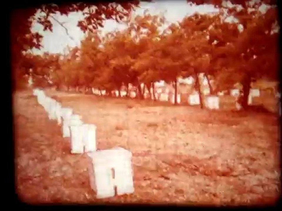 MOV07637