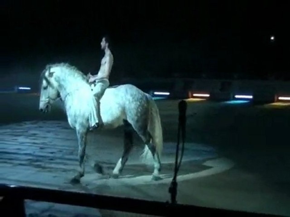 Tao du Théâtre du Centaure