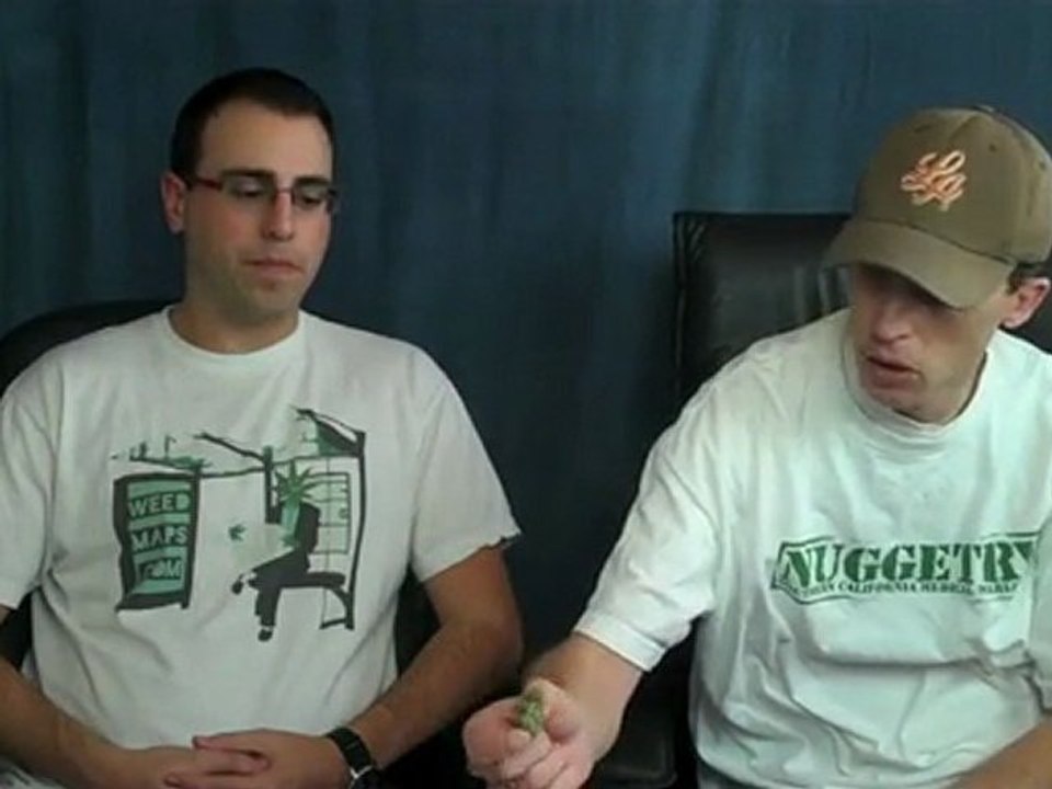 Bootcamp - QA: Buying Weed Versus Growing It