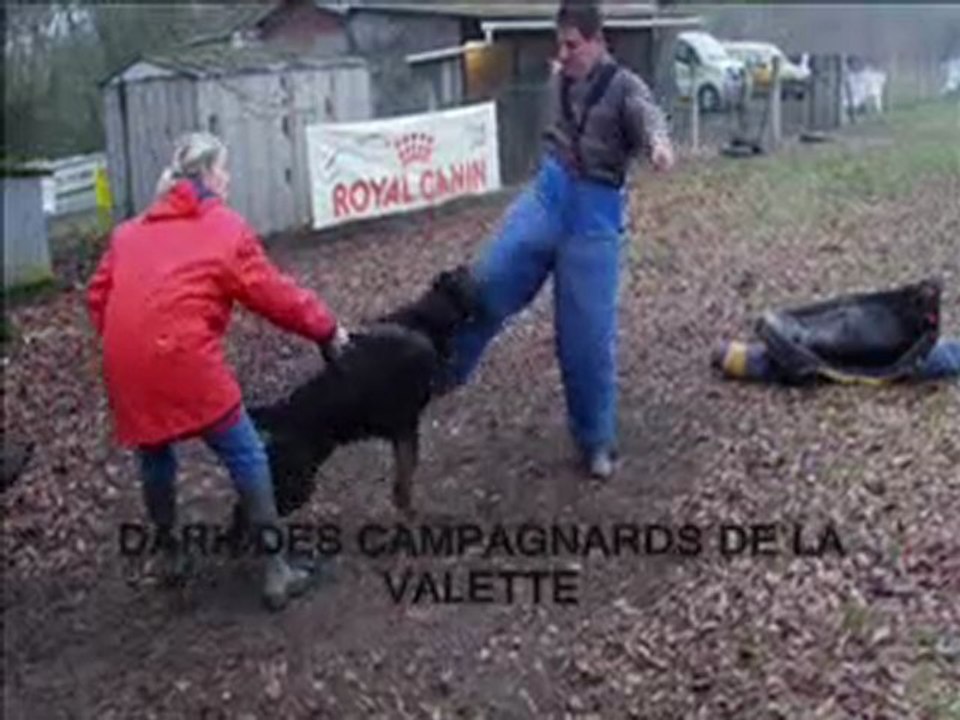 DARK DES CAMPAGNARDS DE LA VALETTE