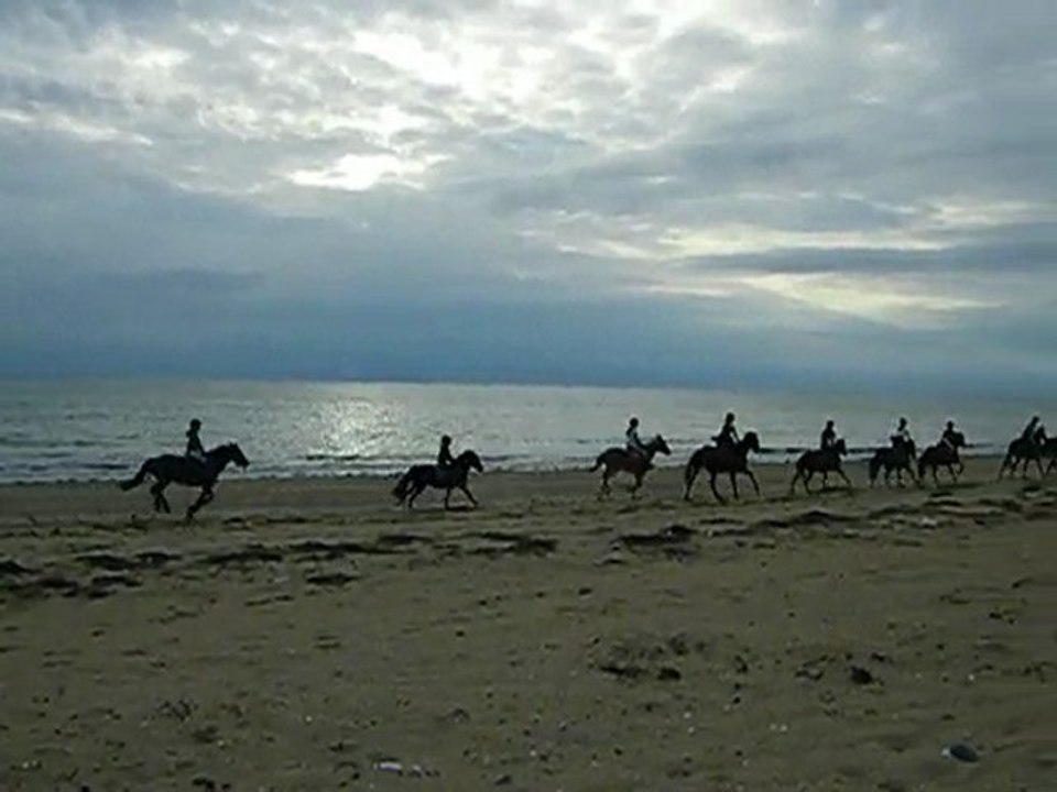 Balade au bord de la mer