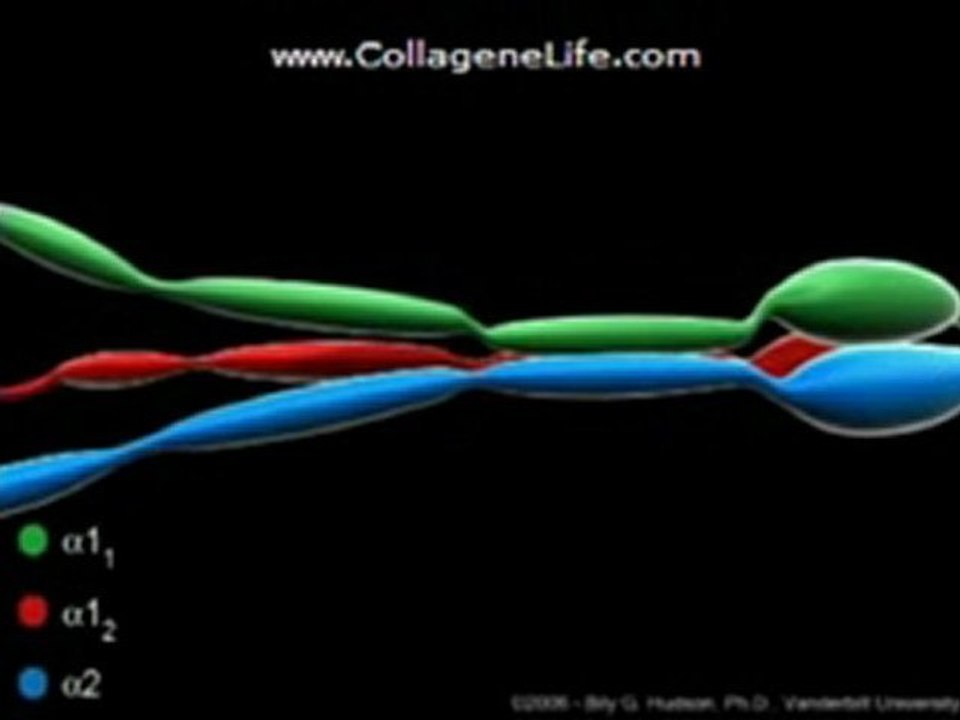Natural Collagen Secret - Triple Helix