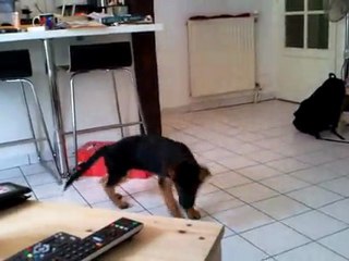 Cascà et son premier jour à la maison