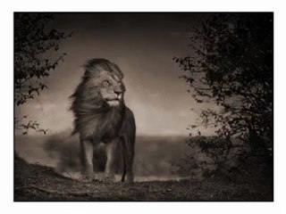 buju banton-time and place