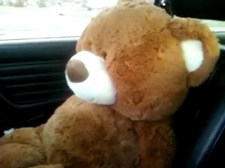 David Crevenston Roger Road Rage Bear # 1