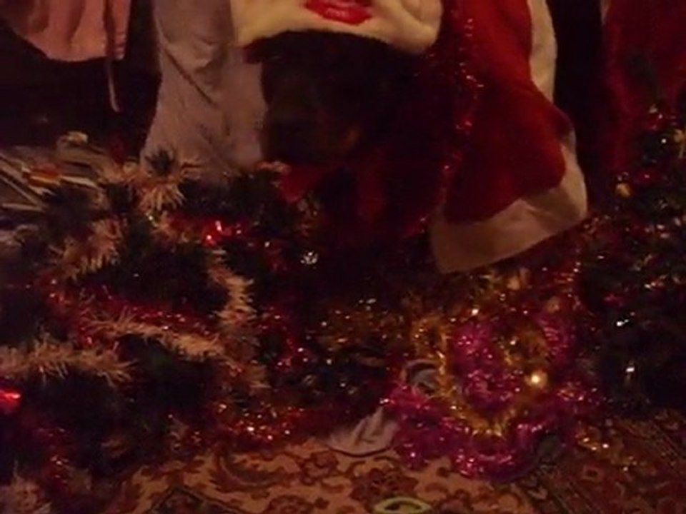 cadre de noël