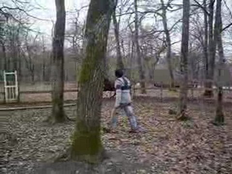 PAPAYE SAUTE EN LIBERTE