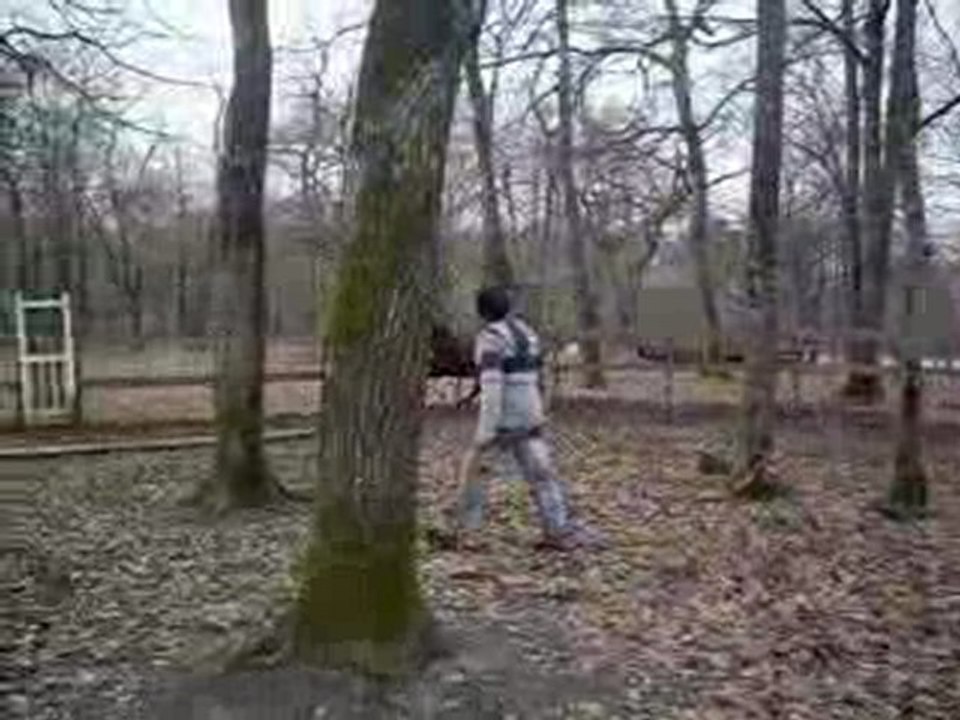 PAPAYE SAUTE EN LIBERTE