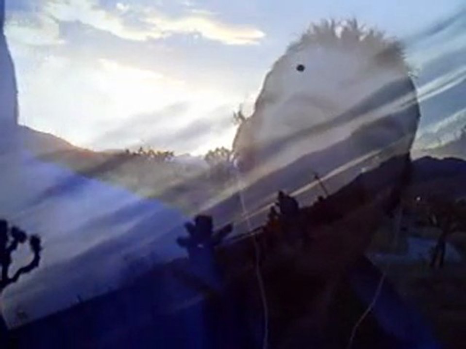 goledgy heads feat gravety puppet belongings