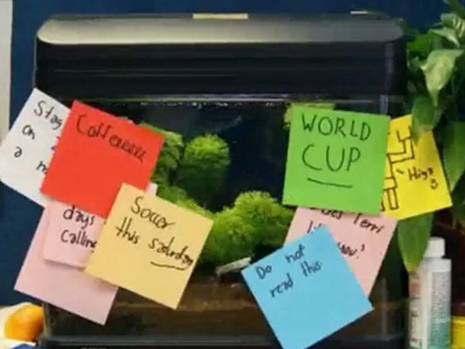 The Temper Trap - Love Lost