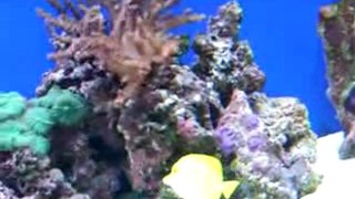 Aquarium tanks Travelers Can Visit San Francisco City In 6 H