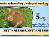 Learn Russian - Learn with Russian Common Animal Videos