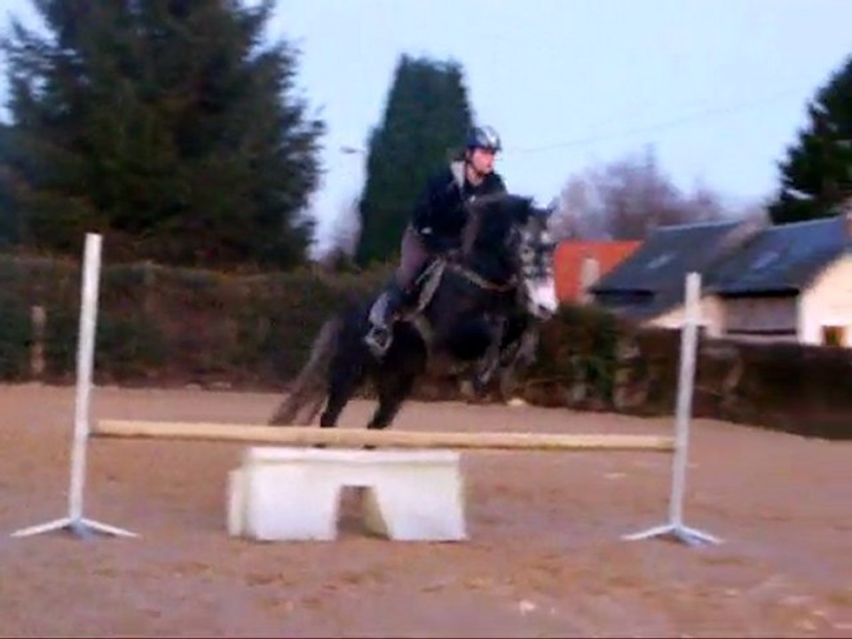 shakspear 17/01/10 séance obstacle