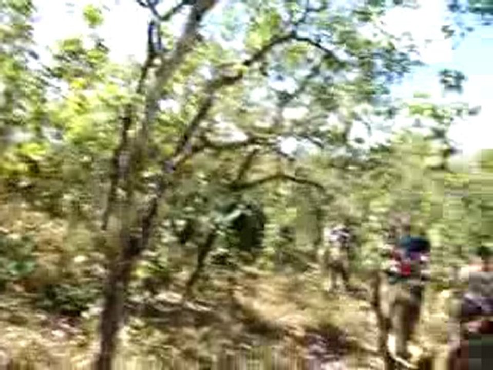 treck  a dos d elephant