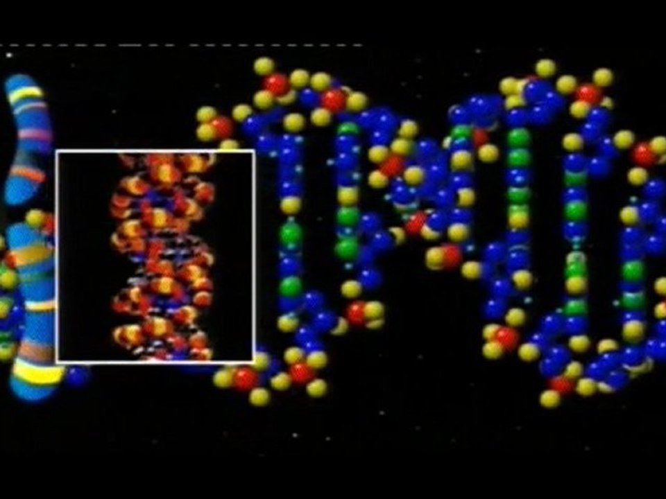 Odyssee de l espace  Des cometes a l origine de la vie 2
