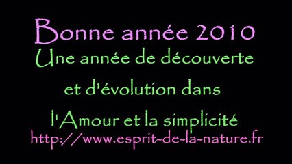Géobiologie quantique et esprits de la nature voeux 2010